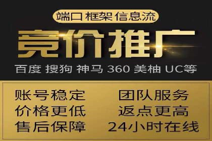行业报告：专业SEM托管的成功实践与挑战